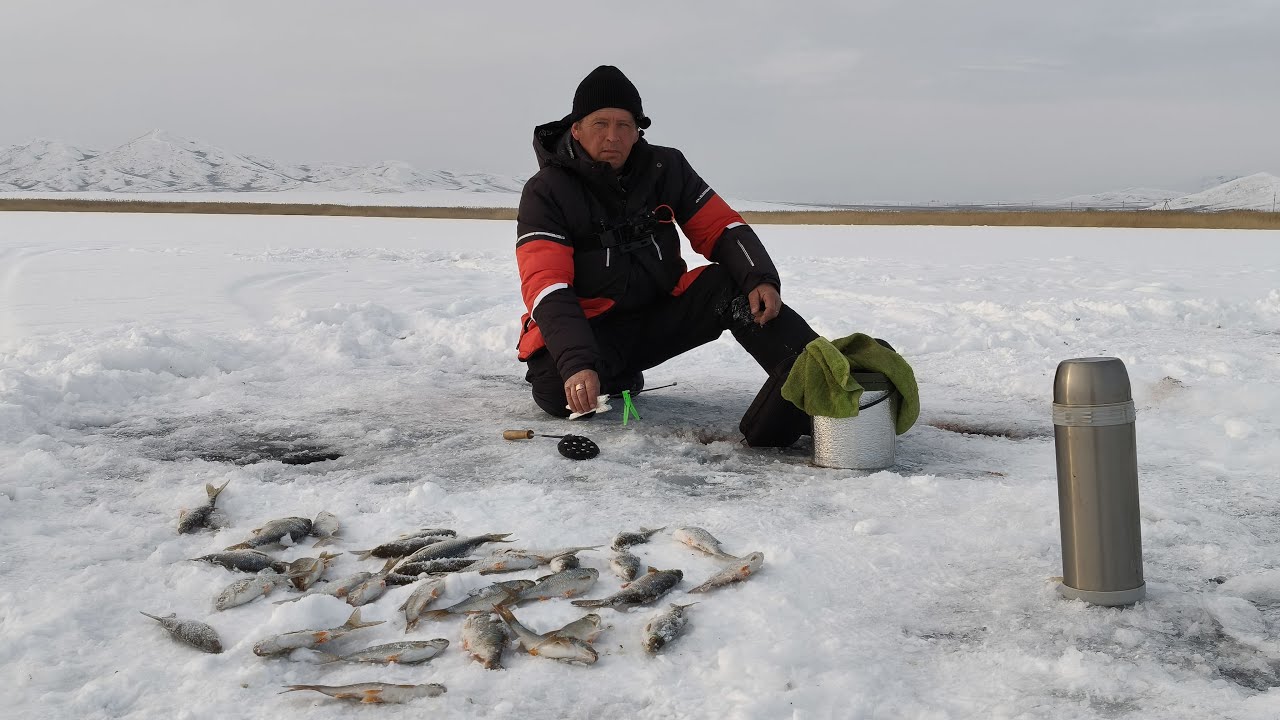 ЗИМНЯЯ РЫБАЛКА 2026! Я САМ В ШОКЕ ОТ ТАКОГО УЛОВА!