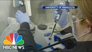 New Clinical Trial Underway For Possible Coronavirus Treatment: Exclusive | NBC Nightly News
