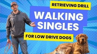 Retriever Drills for Slow Moving Dogs