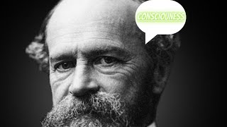 "Exploring the Realm of Consciousness: Unveiling the Mystery Behind Our Minds"