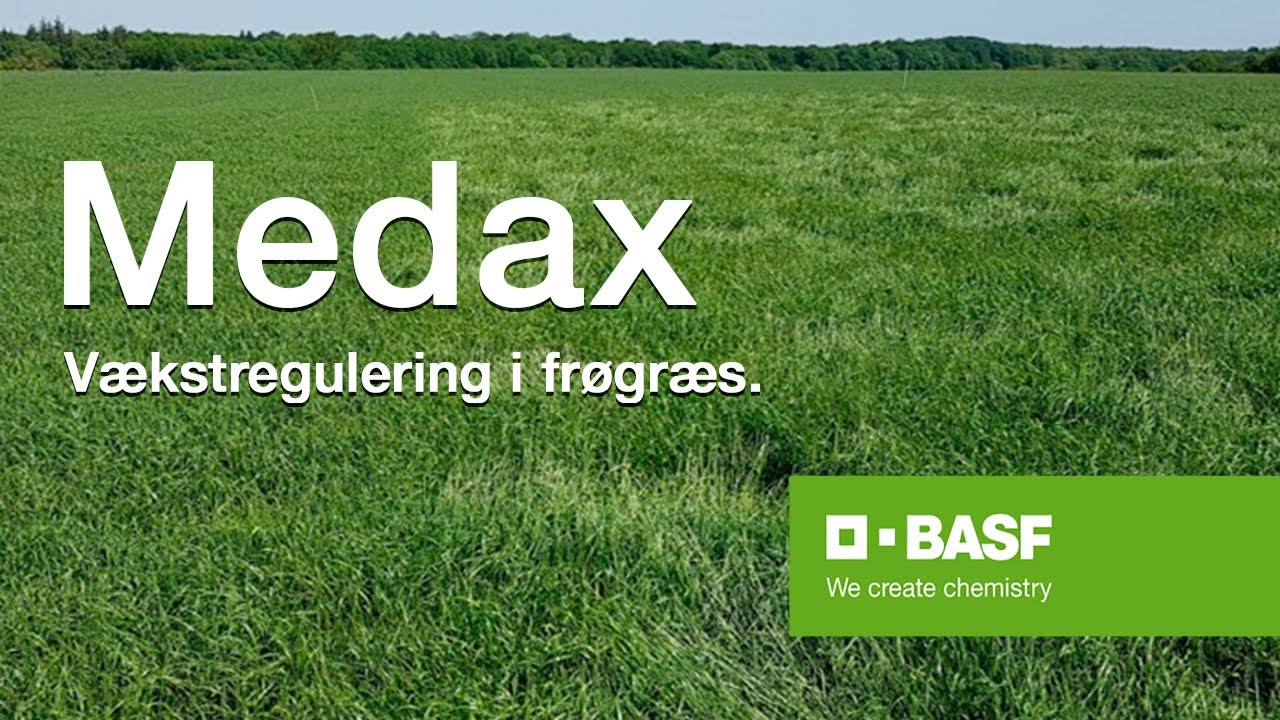 Medax Top / Max - vækstregulering i frøgræs