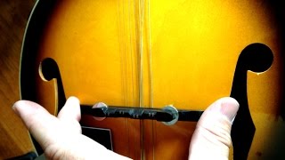 Rogue Mandolin Bridge Action Set Up No Truss Rod How To Video