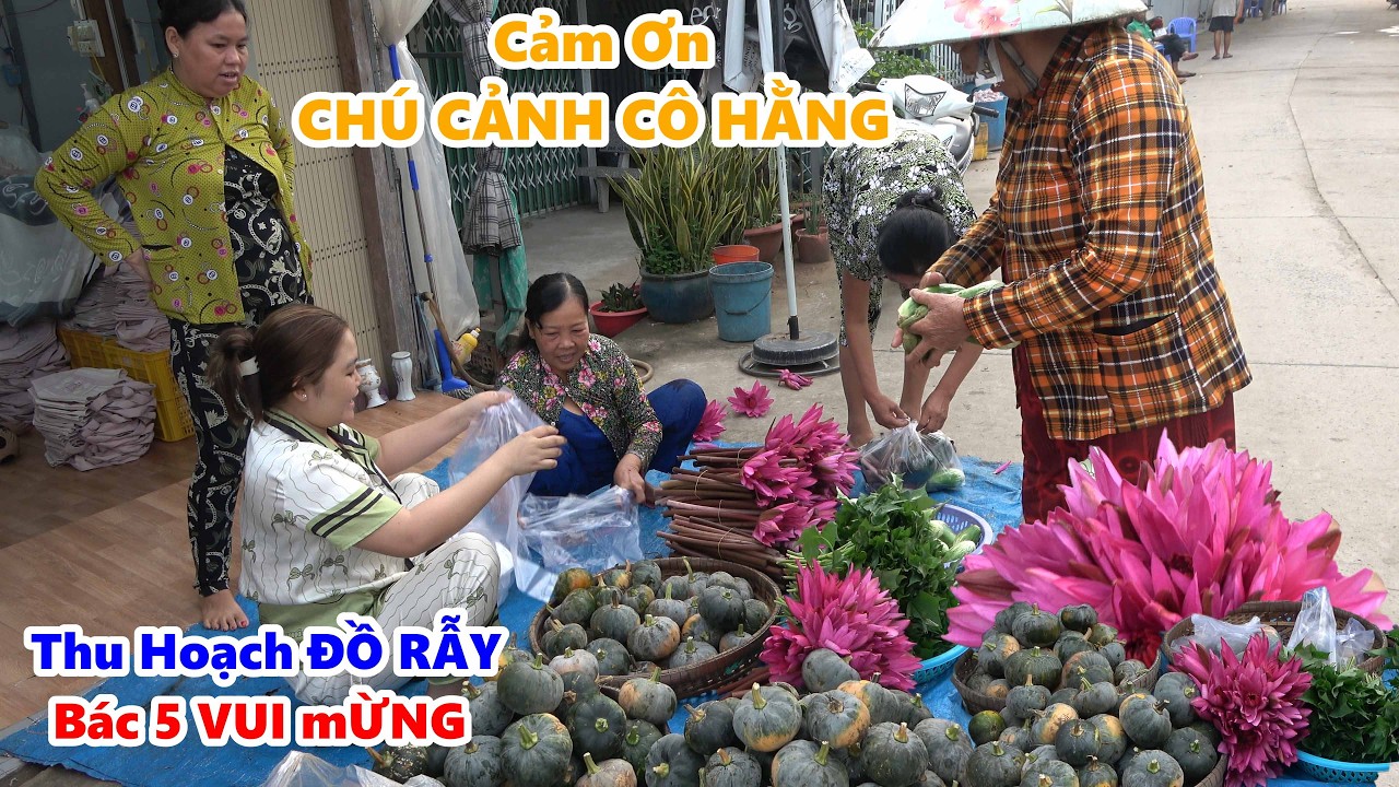 Thu Hoạch Đồ Rẫy Của BÁC 5 Trồng | Bài Ra Đường Tặng Cho Bà Con Lối Xóm Ai Ăn Gì Lấy Đó #NSĐQ