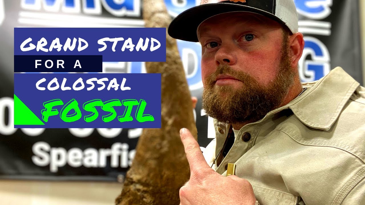 DINOSAUR FOSSIL FOUND IN SOUTH DAKOTA // CUSTOM METAL STAND