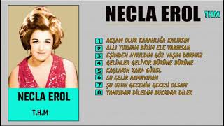 Necla Erol, Allı Turnam