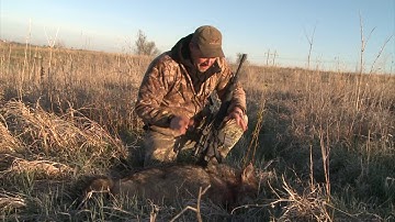 Iowa coyote shot on the run