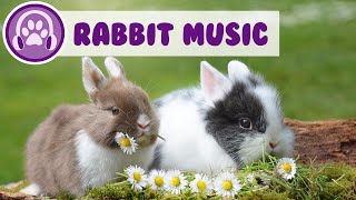Music For Rabbits - EXTRA-RELAXING Songs to Calm Your Bunny!