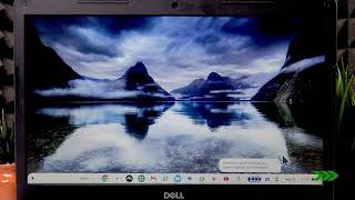 如何修复 DELL Chromebook 3400 触控板无法工作