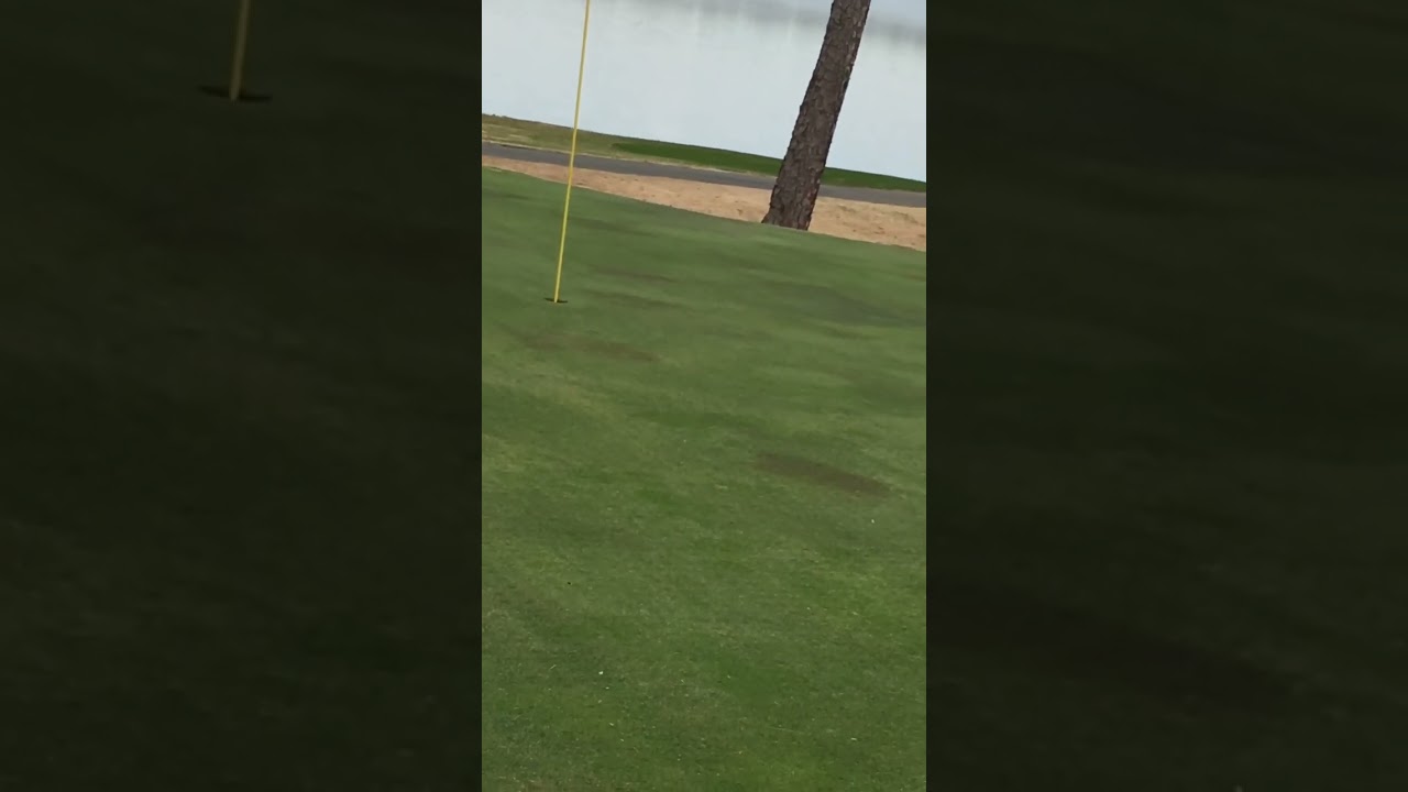 playing Golf At Oak Hollow 