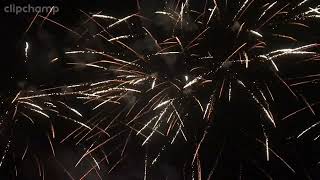 Pyroforum 2026 Teil 5 #fireworks #eventpyrotechnik #hanabi #pyro #pyrotechnica #feuerwerk