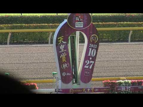 天皇賞（秋）ファンファーレ（個人撮影）【フラフラ映像】2013年10月27日（日）東京競馬場