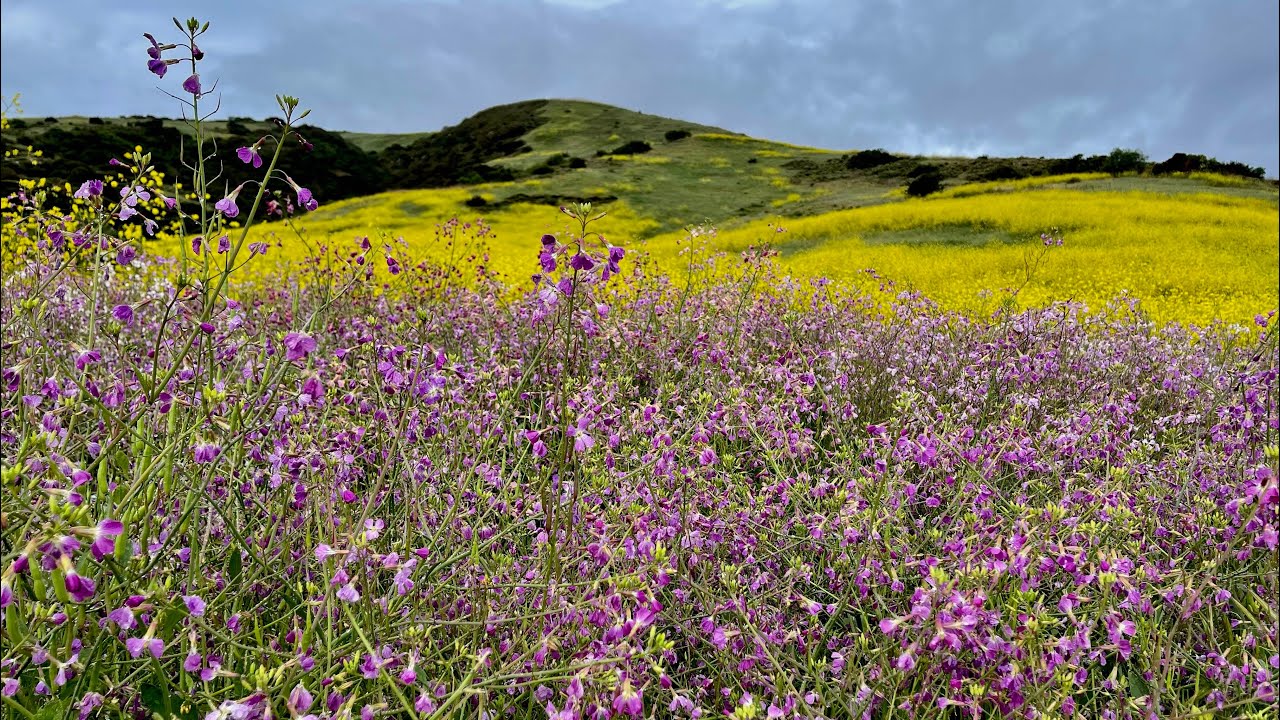 Bommer Canyon Turtle Ridge Hike - YouTube
