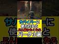 【40秒紹介】キラーから嫌われるパーク3選【DBD】 #shorts