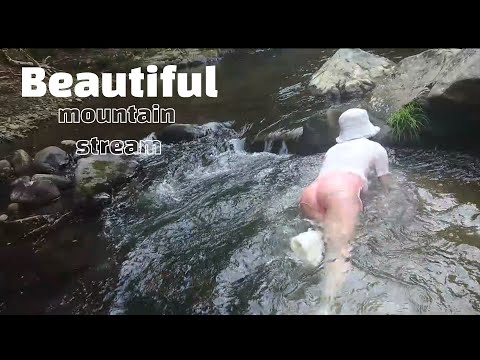 【古民家生活】激流に挑戦！【沢登り】