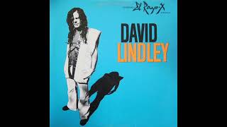 David Lindley – Petit Fleur