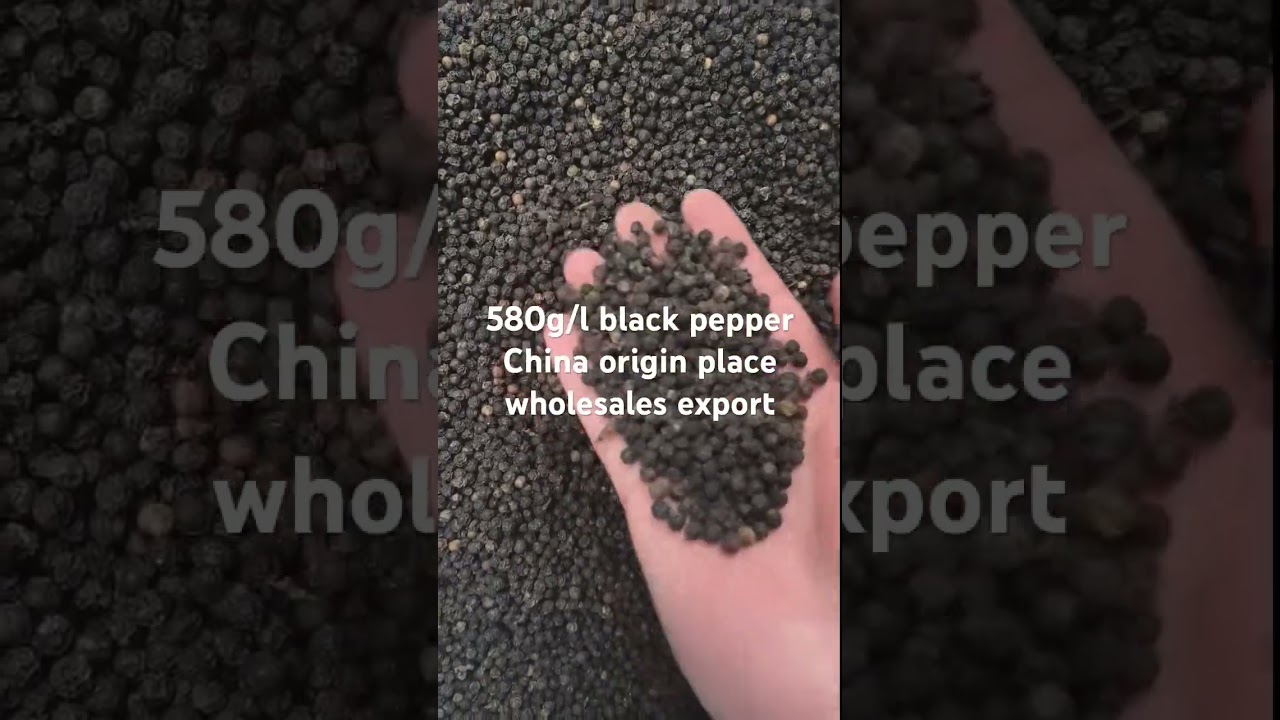 560g/l ~580g/l black pepper China origin place factory wholesale export 