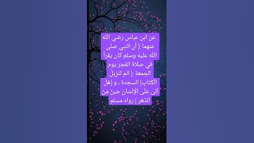 فضل قراءة سورة السجدة و الإنسان في صلاة فجر الجمعة #القرآن_الكريم
