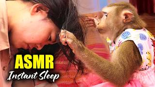 ASMR Instant Sleep | Deep Close-Up Tapping, Scratching & Hair Picking (Monkey ASMR) screenshot 1