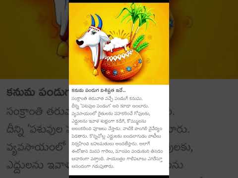 Kanuma Sankranthi Pongal 