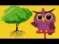 How Do Trees Grow? - Kids STEM #TeamTrees