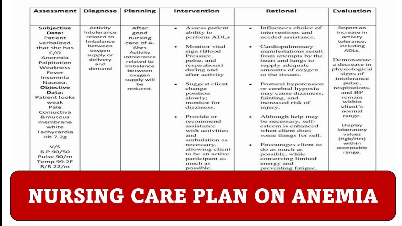 Nursing Care Plan On Anemia#Ncp on anemia#Nursing care plan - YouTube