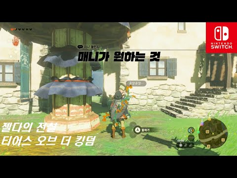[Switch]젤다의 전설 티어스 오브 더 킹덤 : 미니 챌린지 - 매니가 원하는 것 (하테노 마을)