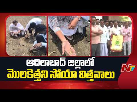 Adilabad District: కలెక్టరేట్ కు తరలివచ్చిన 50 మందికి పైగా రైతులు | Special Report | NTV Telugu - NTVTELUGU