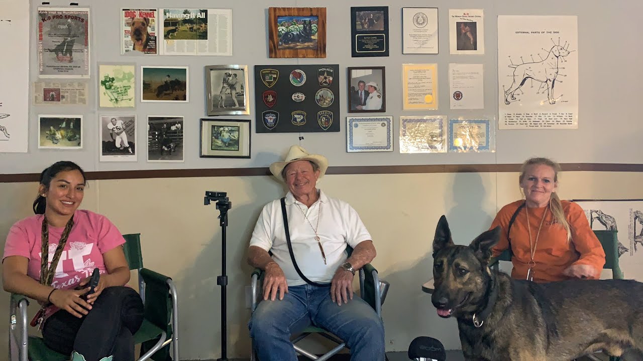 What is a Western Shepherd?