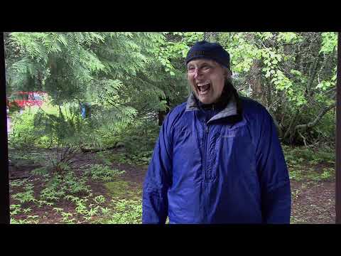 National Parks Exploration Series: Glacier National Park - Crown of the Continent