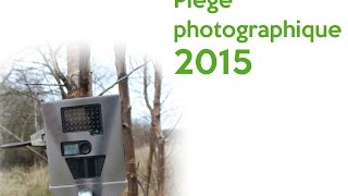 Piège photographique 2015