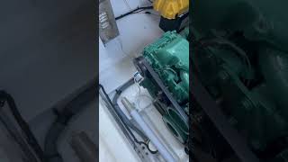 IMG 1755