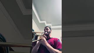 #basstrombone #tromboneplayer #lowbrass #tenor #bass #trombonefamily #studymotivation