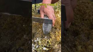 왜 뱀이 배 속에 있는 거죠