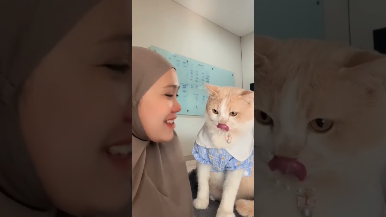 Abang pororo mode pasrah 🤣 