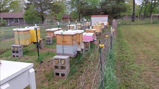 Apiary Update - April 12Th