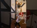 Cameraman Dance