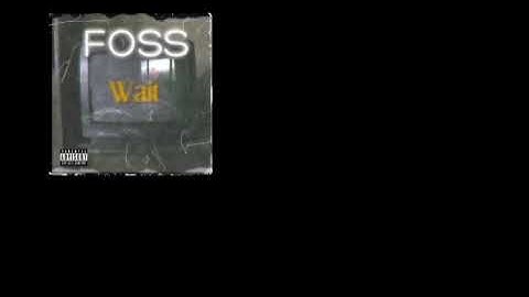 Foss - Wait (Official Audio)