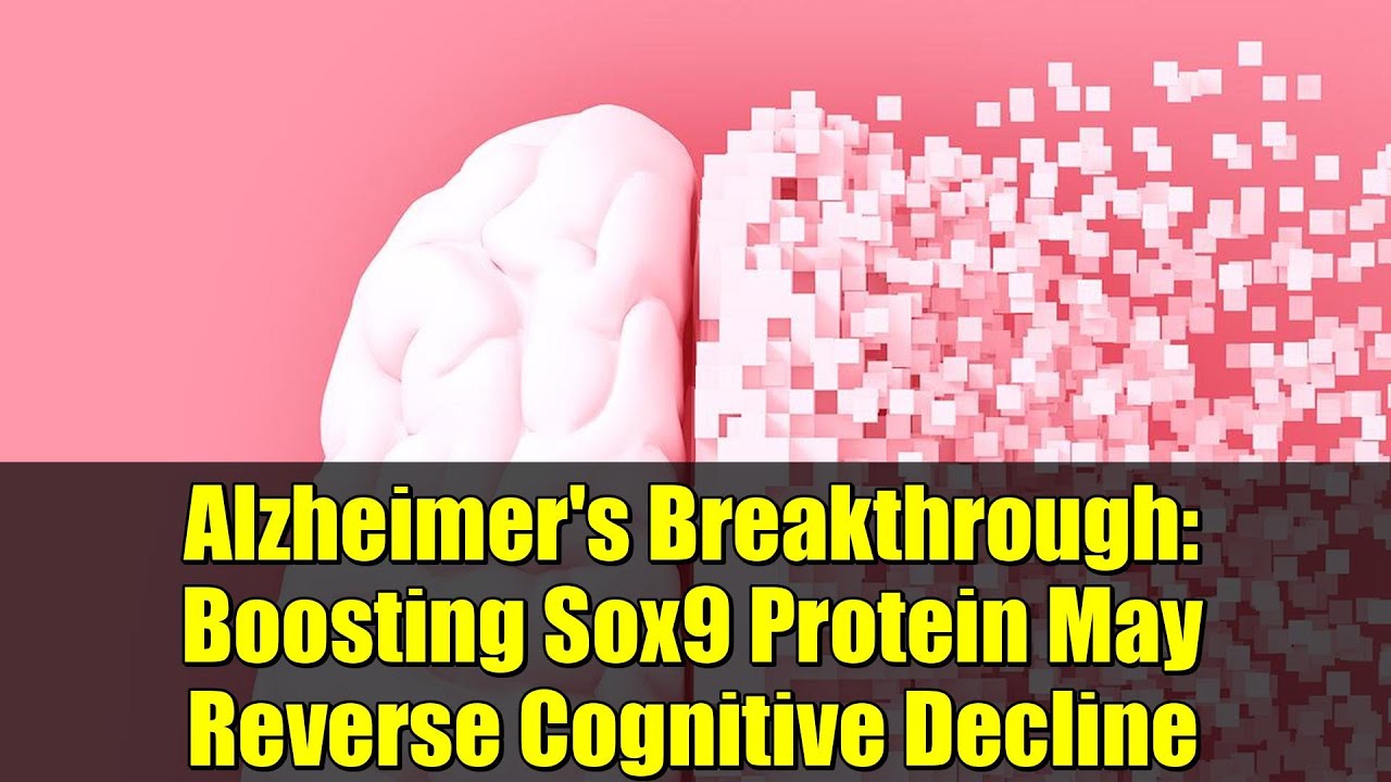 Alzheimer's Breakthrough: Boosting Sox9 Protein May Reverse Cognitive Decline