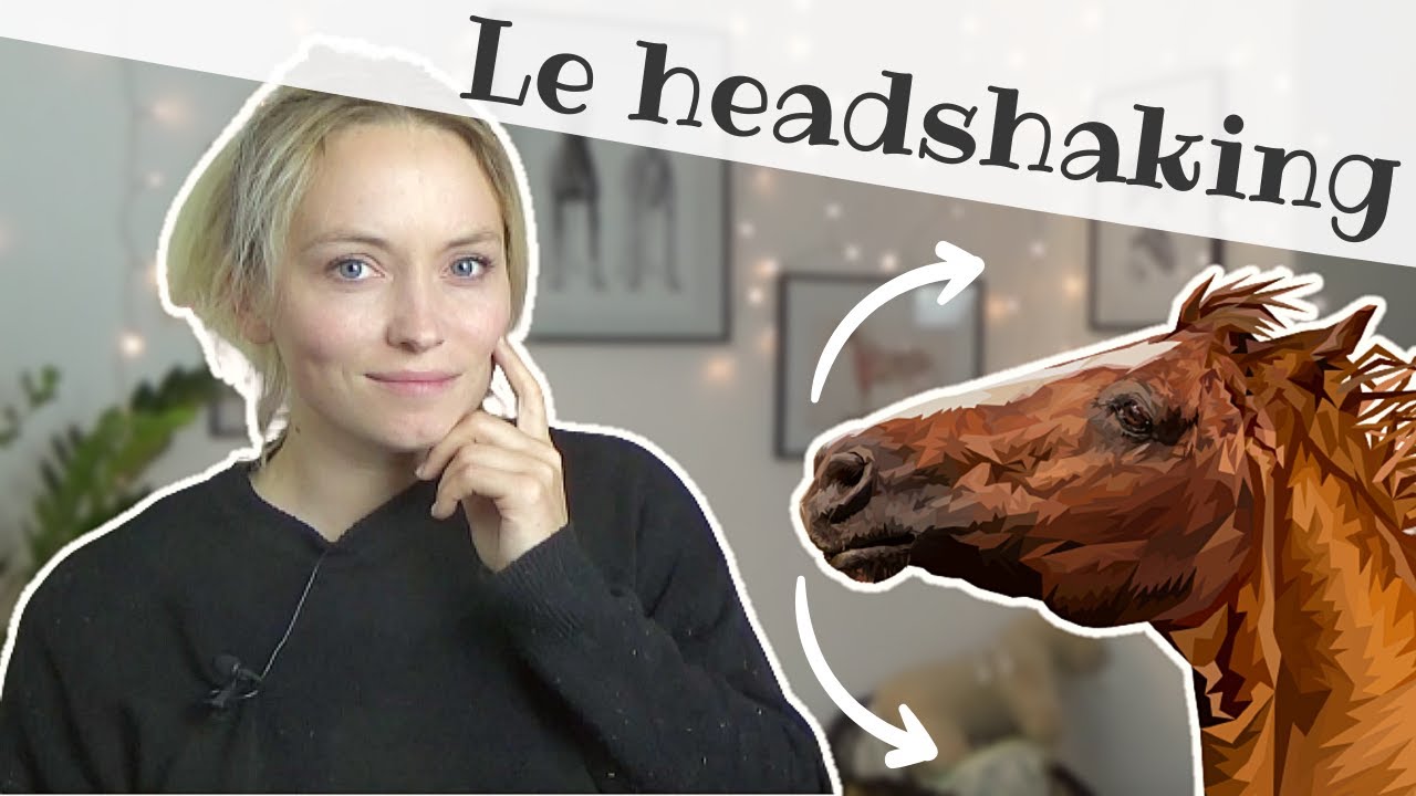 Le mystère du HEADSHAKING - L'encensement chez le cheval