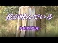 💎「花が呼んでいる」 山内惠介 COVER ♪hide2288