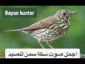 اجمل صوت سكة سمن للصيد رائع Rayan Hunter 