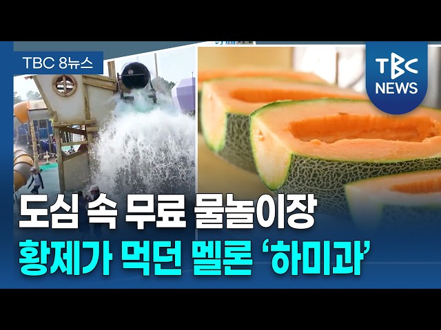 [SNS톡톡] '황제 멜론' 맛보고 무료 물놀이 즐겨요ㅣTBC뉴스