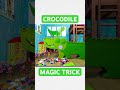 Silly Crocodile’s Magic Disappearing Trick