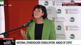 National stakeholder consultation ahead of Sharm El Sheik's COP 27 climate talks: Creecy