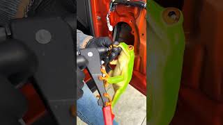 Changing car speakers #contentcreator #audio #automobile #bass #hashtags #makemoneyonline #seo2024