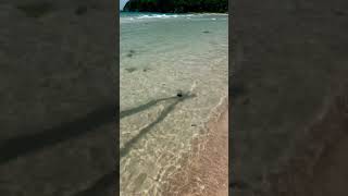 Barefoot Bliss Waves Kiss My Soles