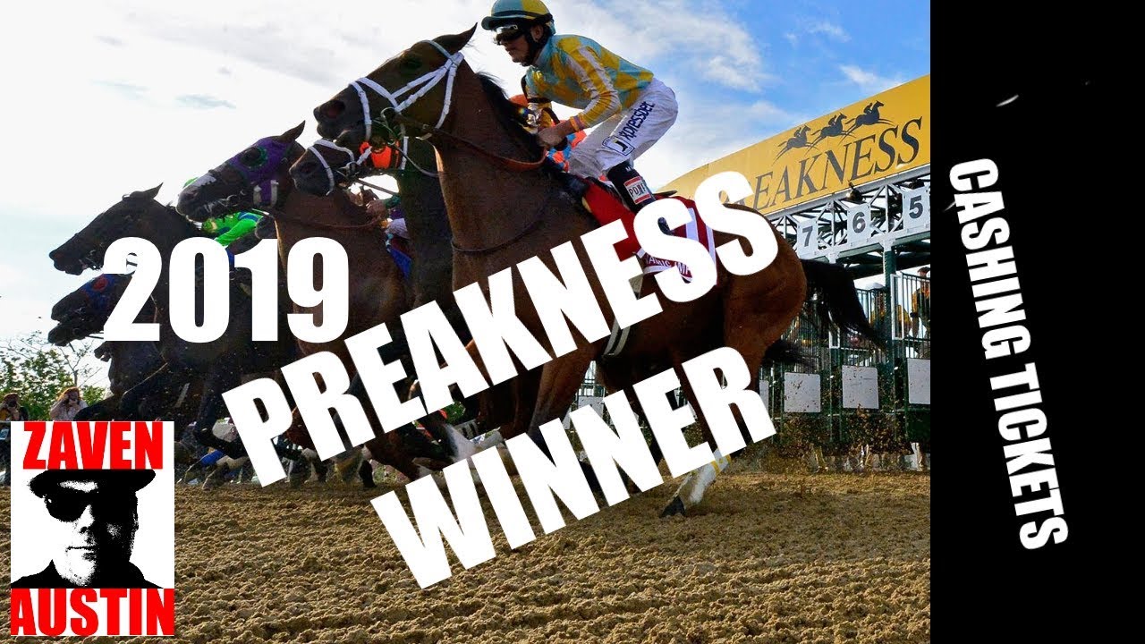 tvg preakness picks