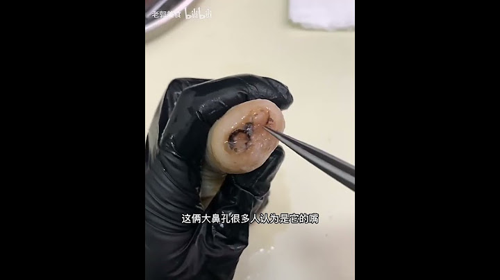 象拔蚌都哪里不能吃，你们知道吗？