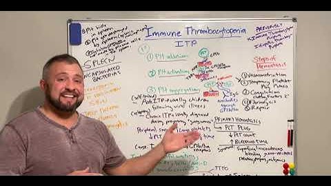 CCRN Prep: ITP (Immune Thrombocytopenia/Idiopathic Thombocytopenic Purpura)