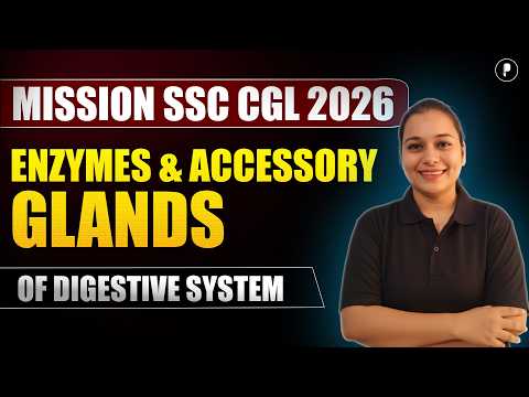 Enzymes & Accessory Glands of the Digestive System | Biology | SSC CGL 2026